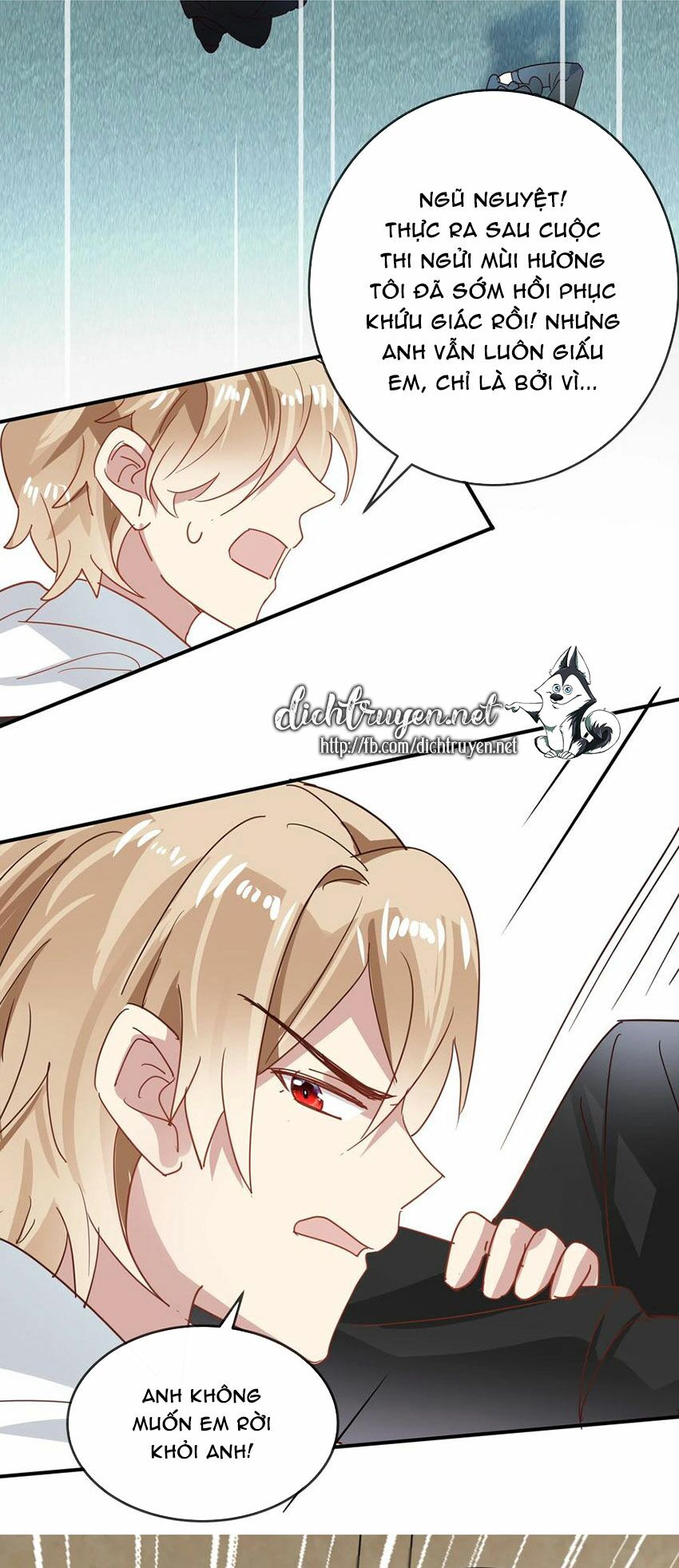 Em là bạc hà mèo của tôi: Chapter 52