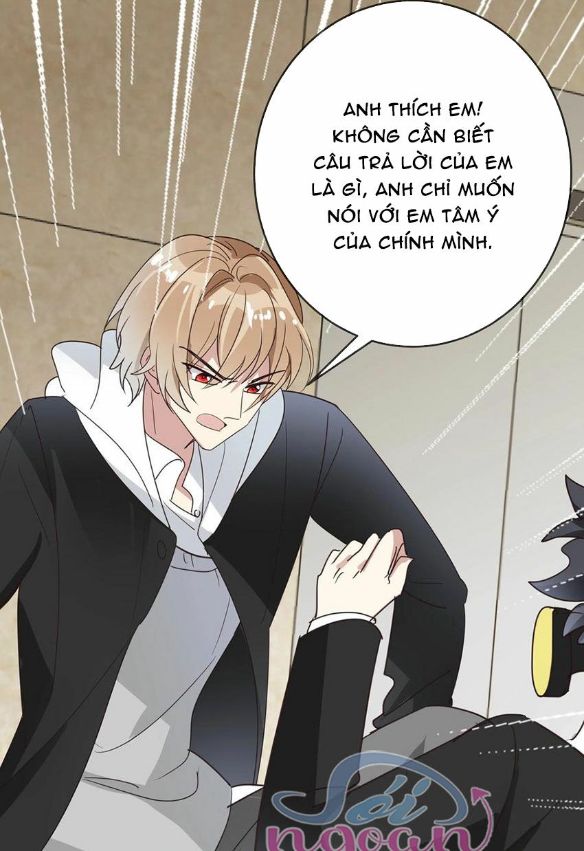 Em là bạc hà mèo của tôi: Chapter 52