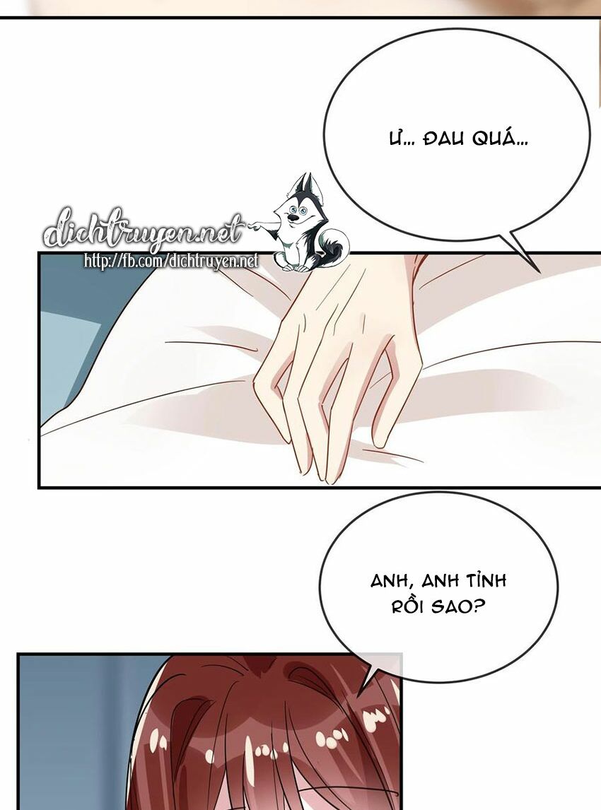 Em là bạc hà mèo của tôi: Chapter 53