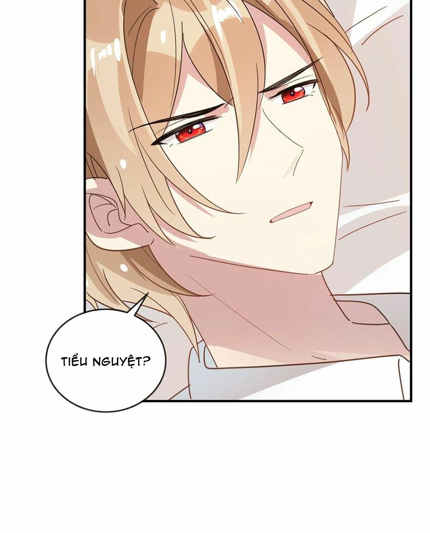 Em là bạc hà mèo của tôi: Chapter 53