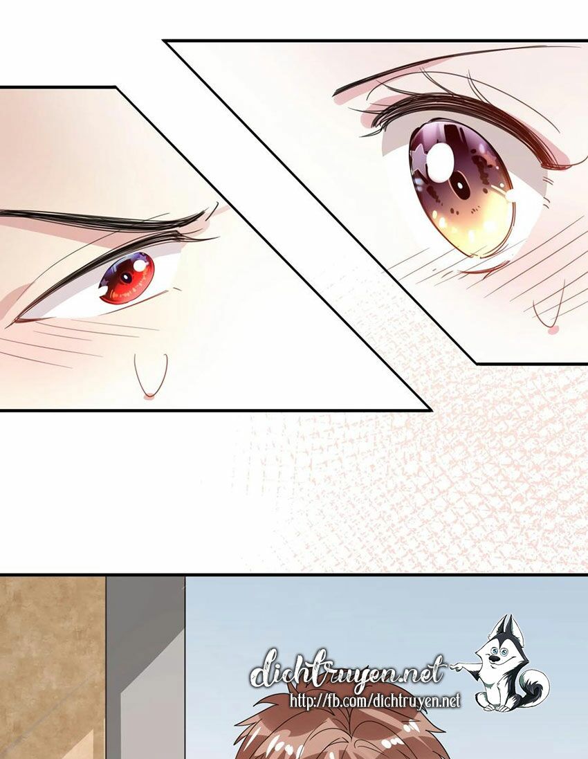 Em là bạc hà mèo của tôi: Chapter 53