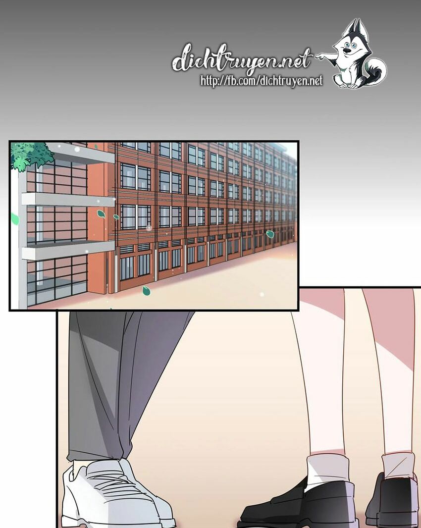 Em là bạc hà mèo của tôi: Chapter 53