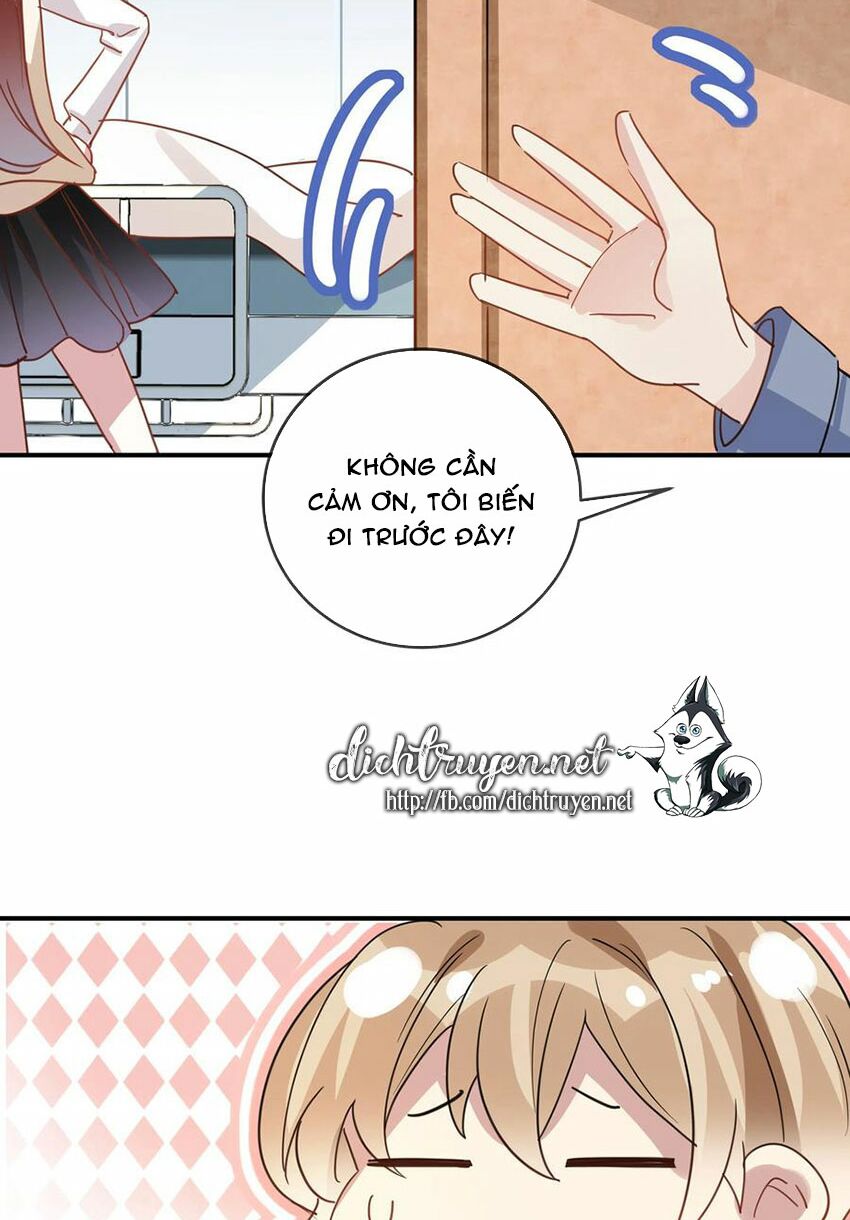 Em là bạc hà mèo của tôi: Chapter 53