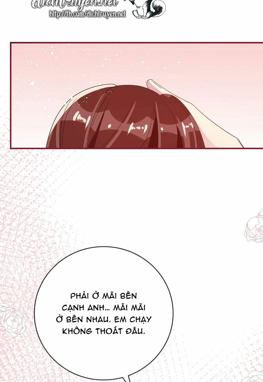 Em là bạc hà mèo của tôi: Chapter 53