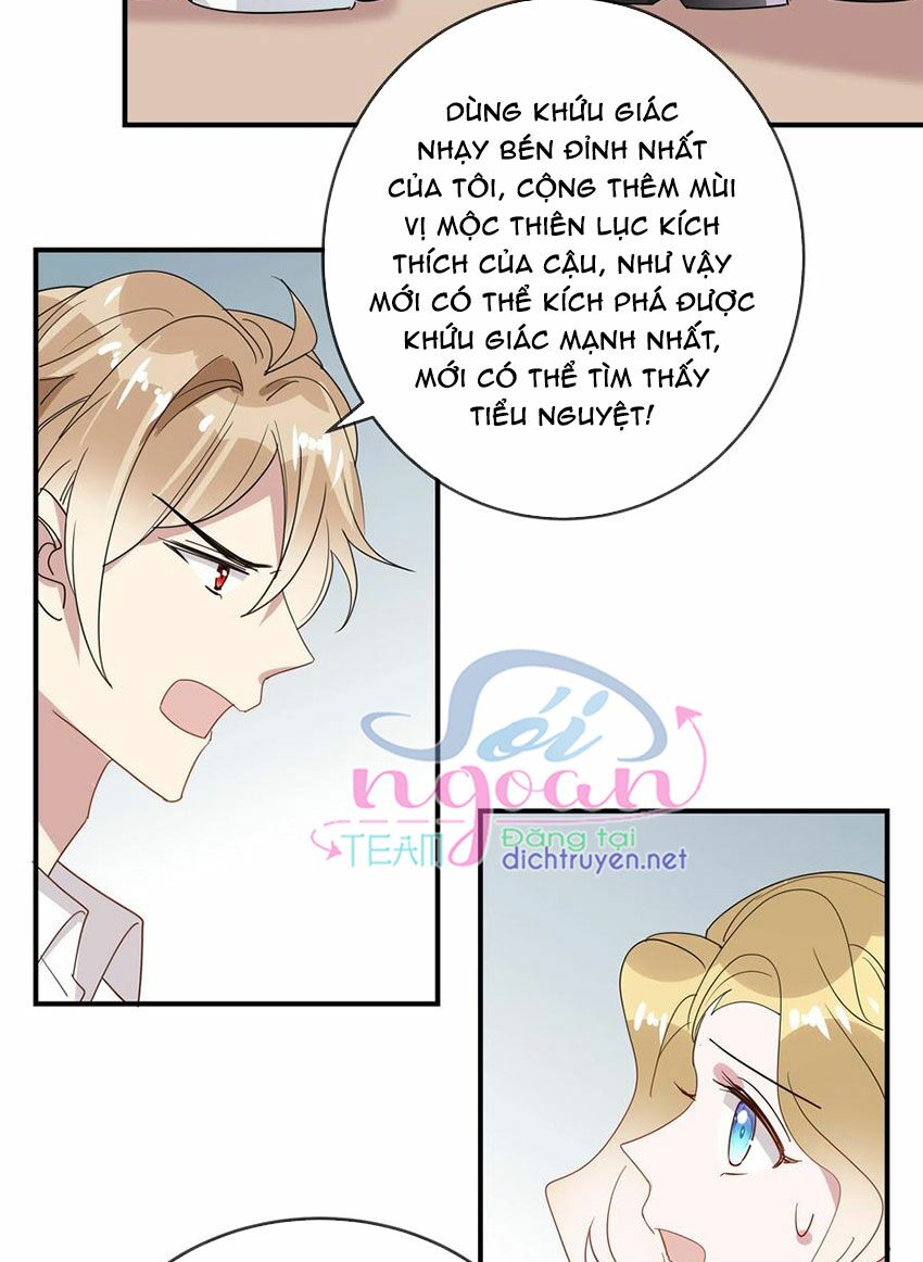 Em là bạc hà mèo của tôi: Chapter 53