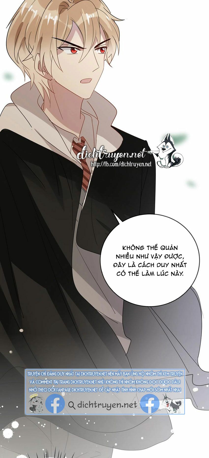 Em là bạc hà mèo của tôi: Chapter 53