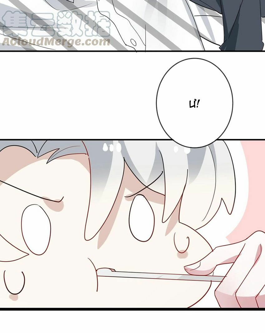 Em là bạc hà mèo của tôi: Chapter 54: (End)