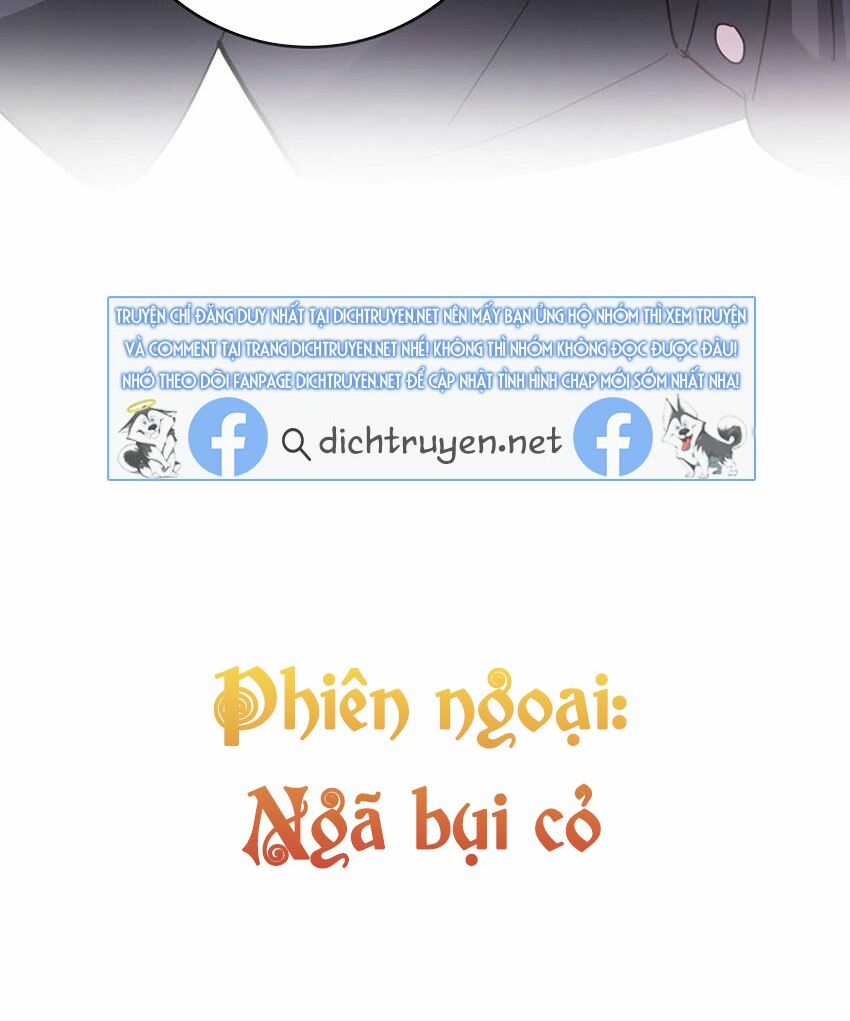 Em là bạc hà mèo của tôi: Chapter 54: (End)