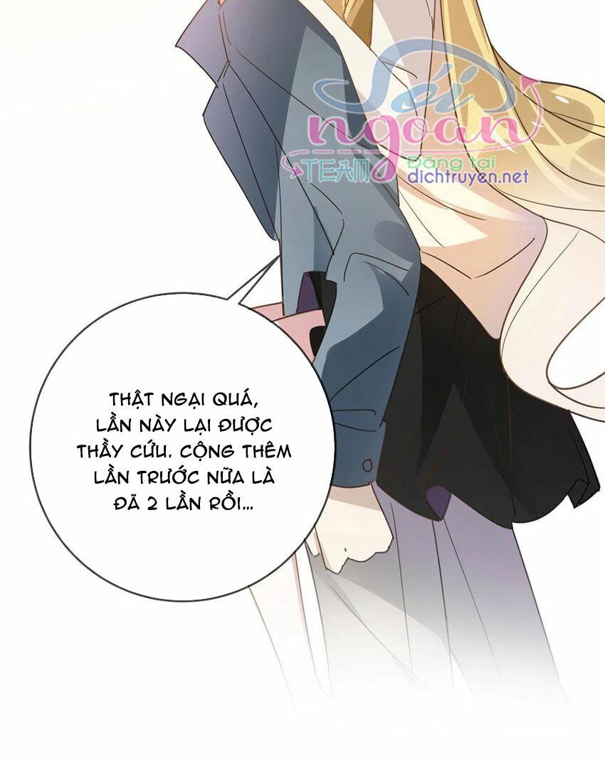 Em là bạc hà mèo của tôi: Chapter 54: (End)