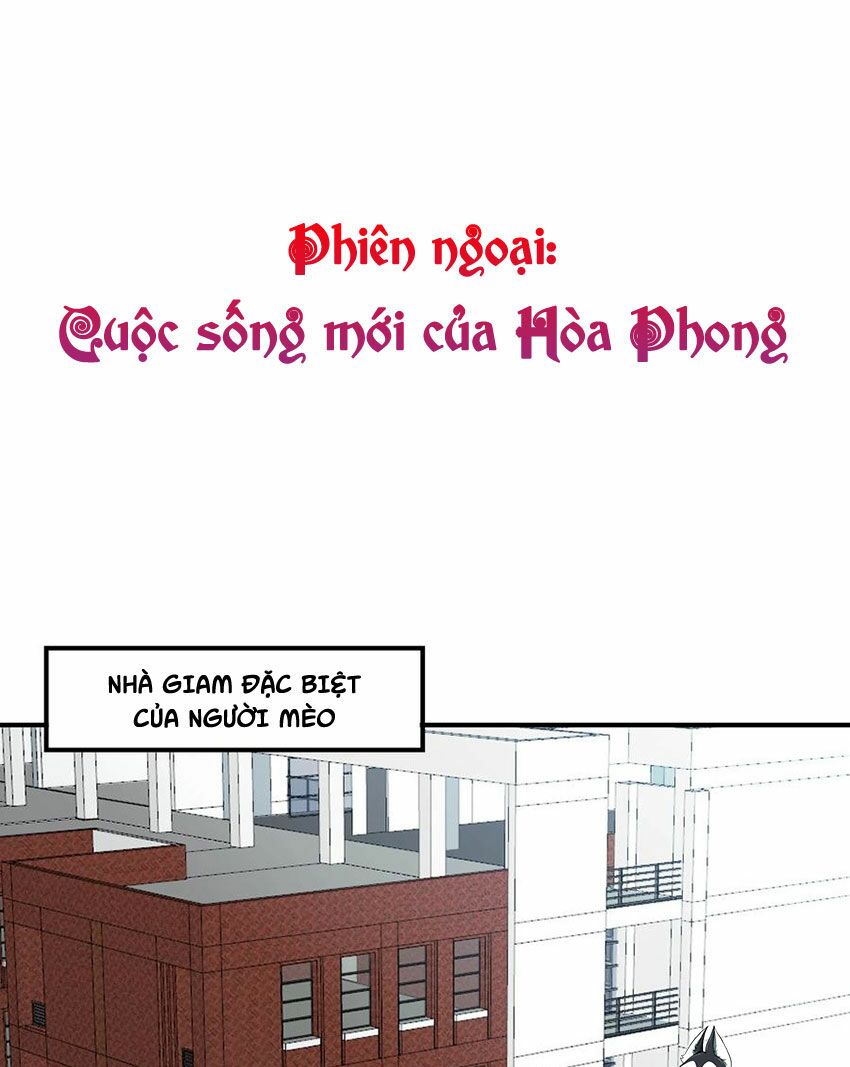 Em là bạc hà mèo của tôi: Chapter 54: (End)