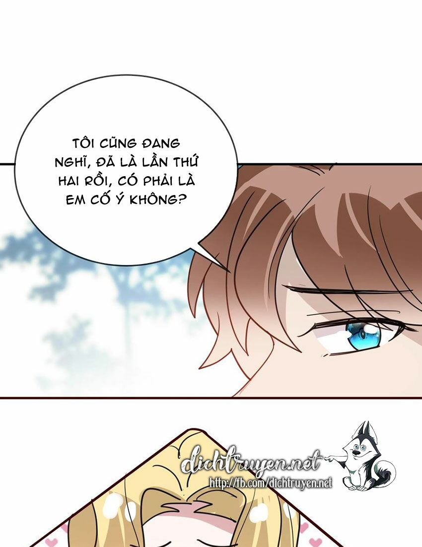 Em là bạc hà mèo của tôi: Chapter 54: (End)