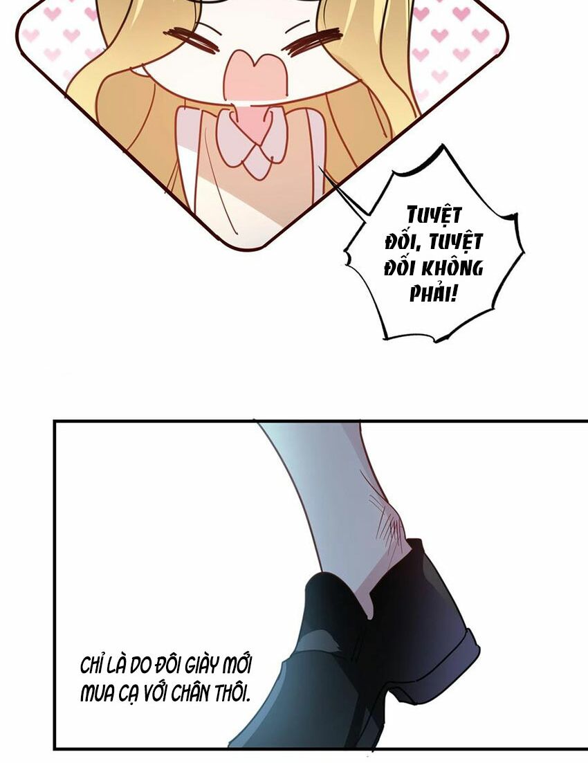 Em là bạc hà mèo của tôi: Chapter 54: (End)