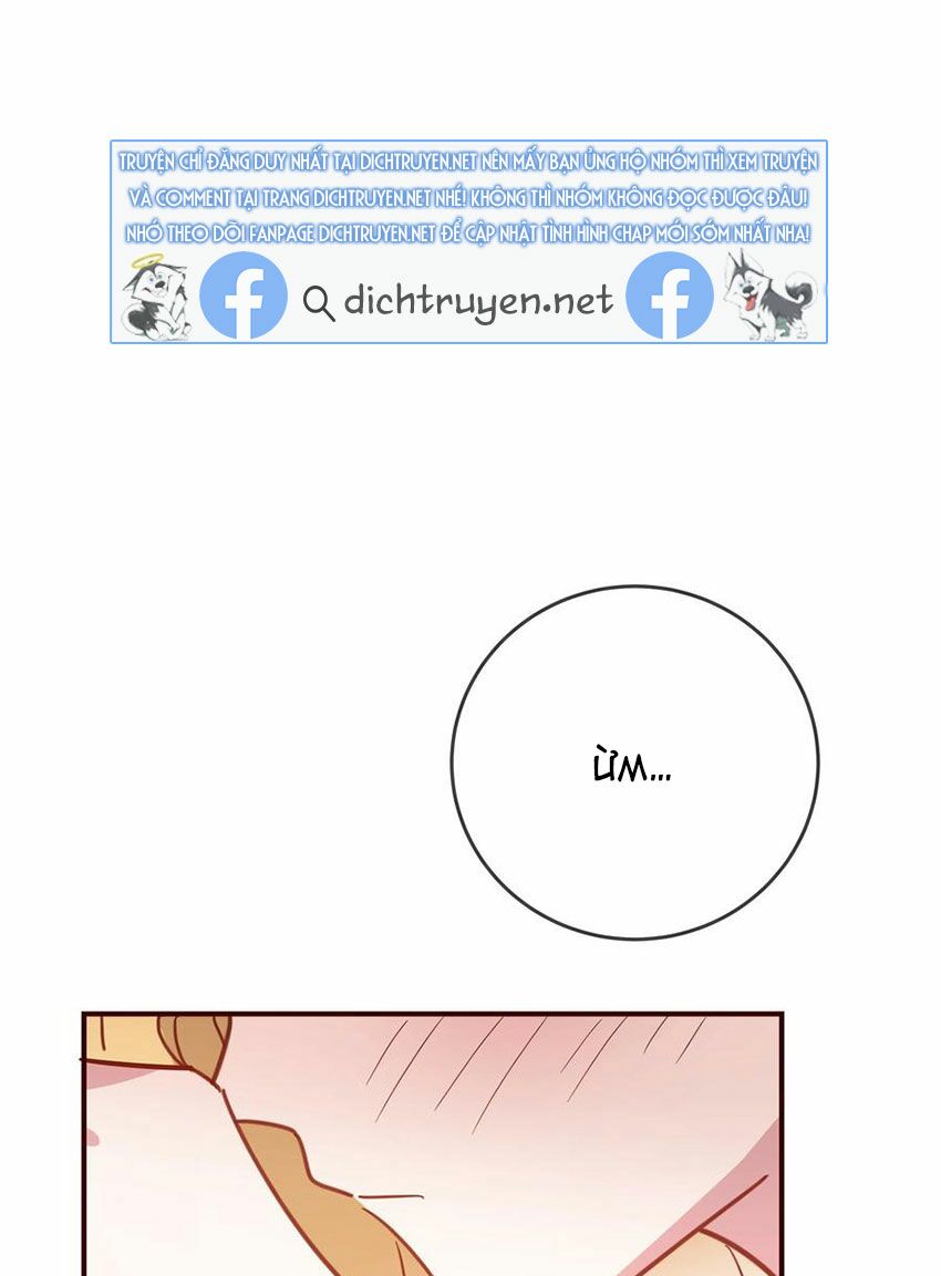 Em là bạc hà mèo của tôi: Chapter 54: (End)