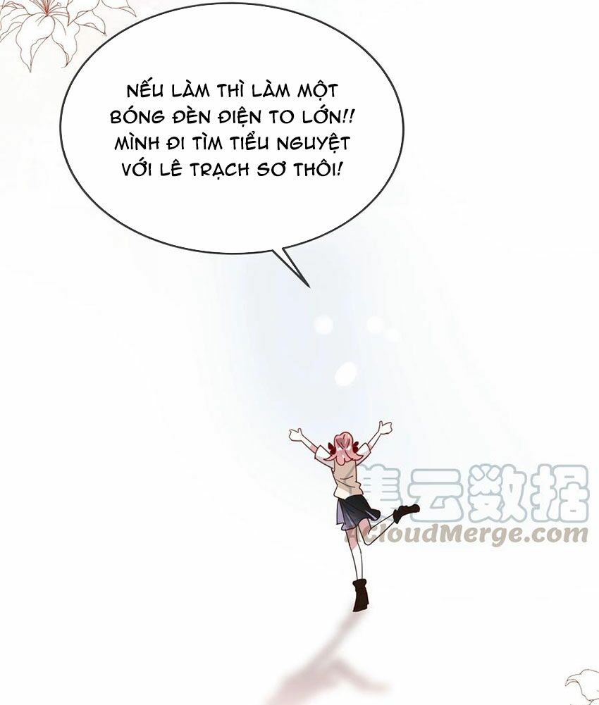 Em là bạc hà mèo của tôi: Chapter 54: (End)