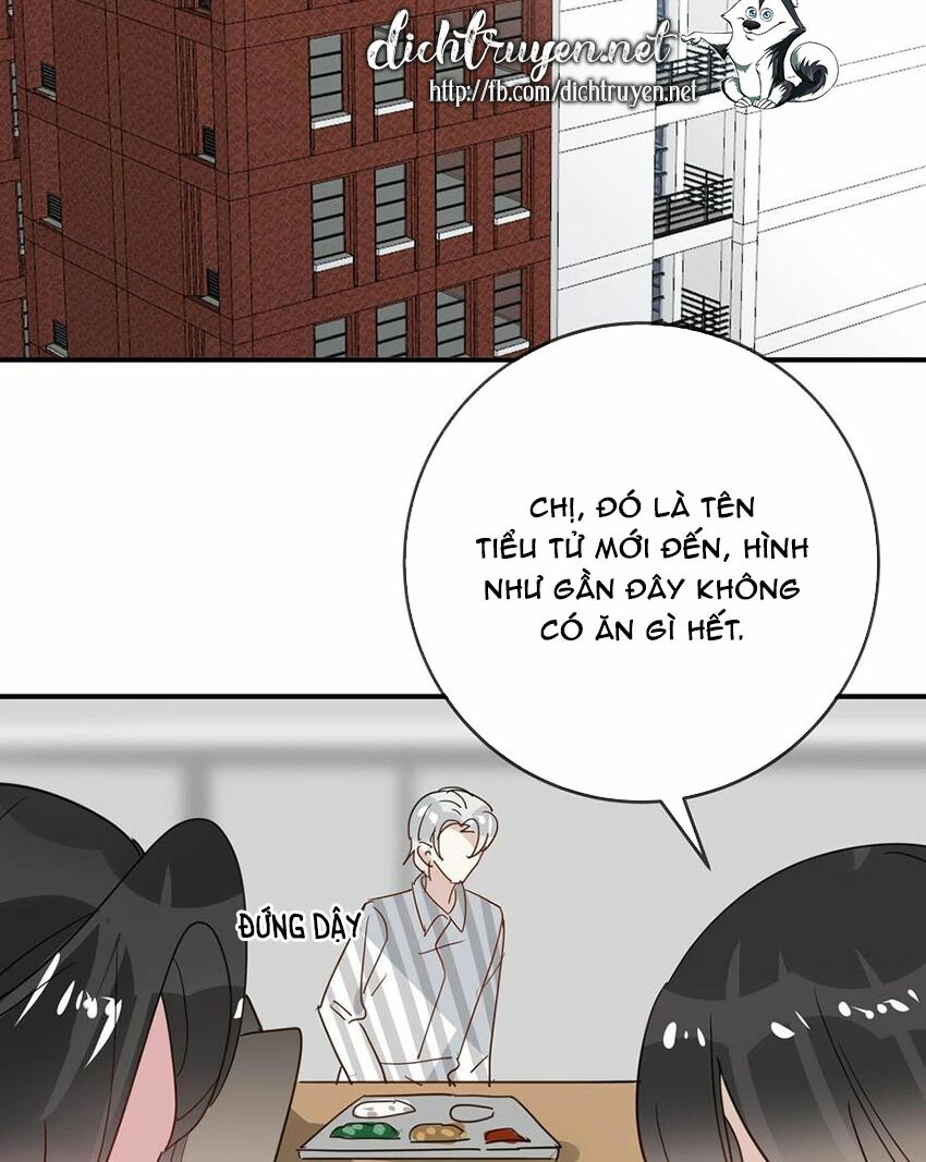 Em là bạc hà mèo của tôi: Chapter 54: (End)