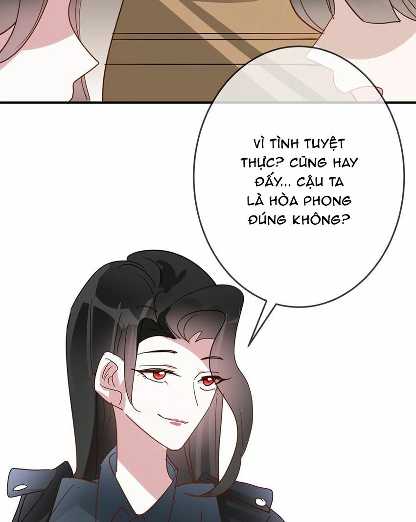 Em là bạc hà mèo của tôi: Chapter 54: (End)