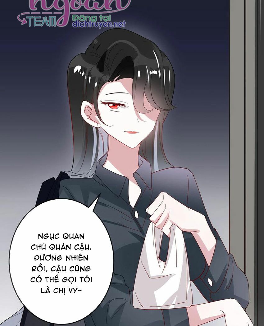 Em là bạc hà mèo của tôi: Chapter 54: (End)