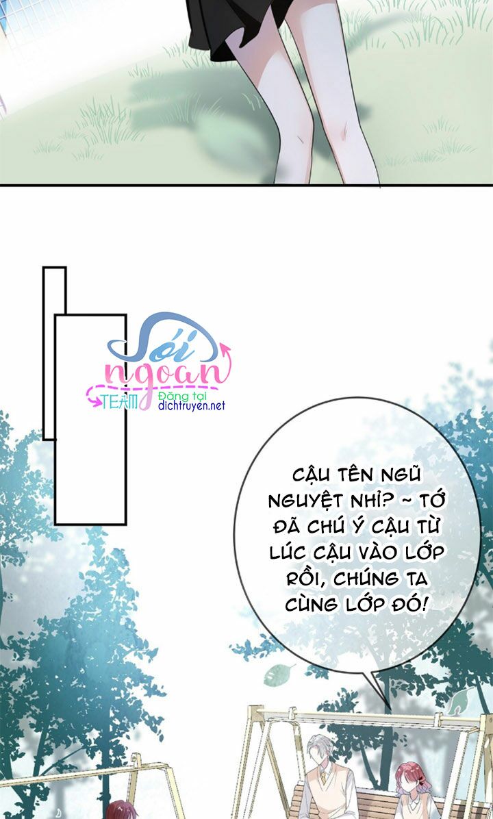 Em là bạc hà mèo của tôi: Chapter 6
