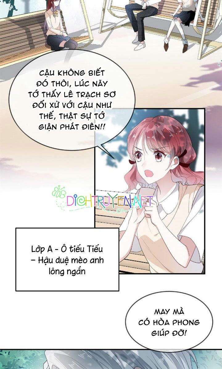 Em là bạc hà mèo của tôi: Chapter 6