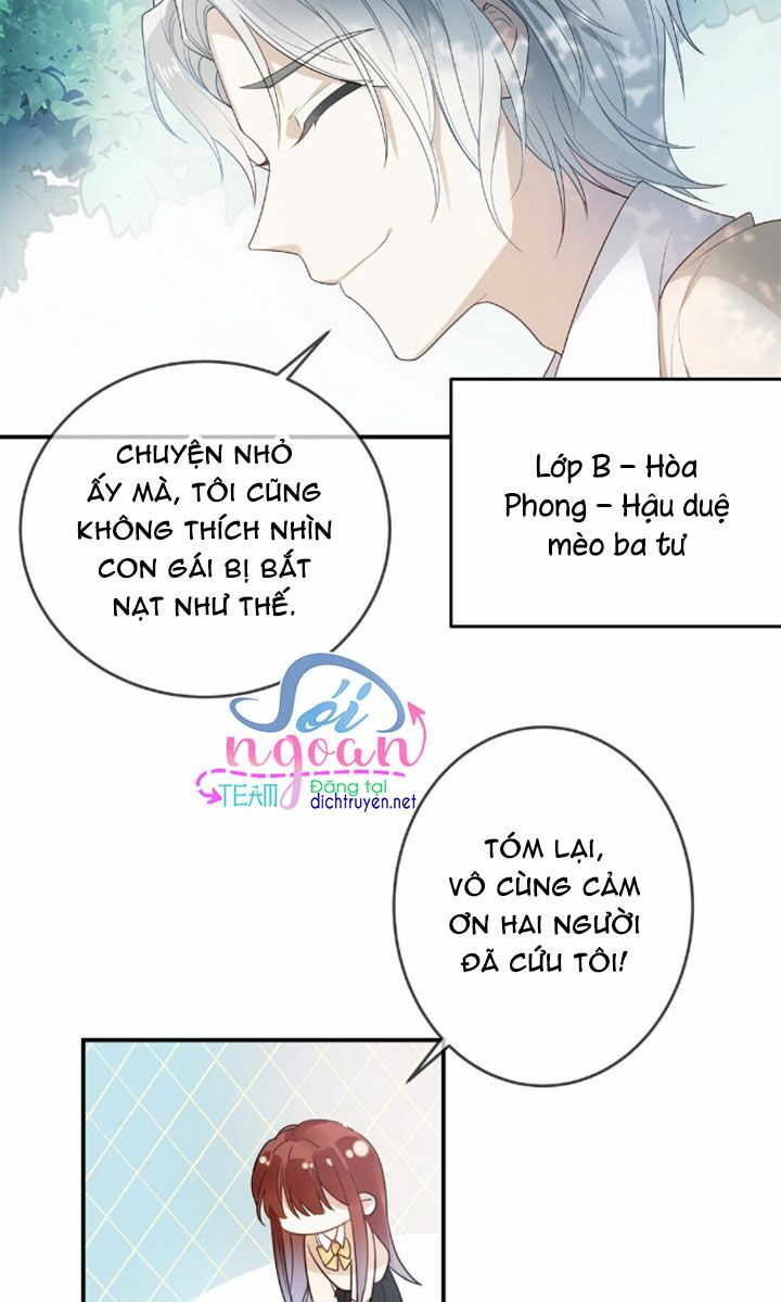 Em là bạc hà mèo của tôi: Chapter 6
