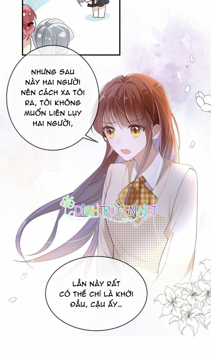 Em là bạc hà mèo của tôi: Chapter 6