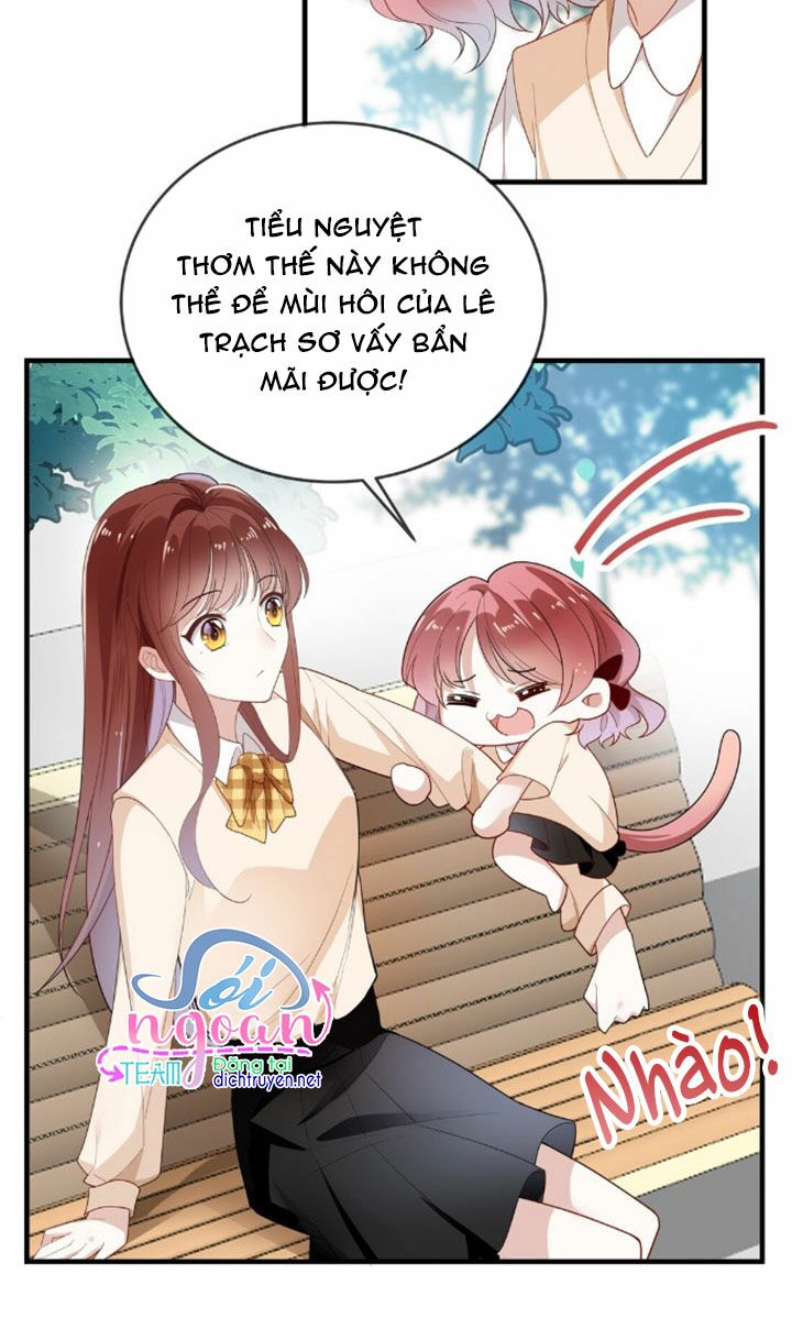 Em là bạc hà mèo của tôi: Chapter 6