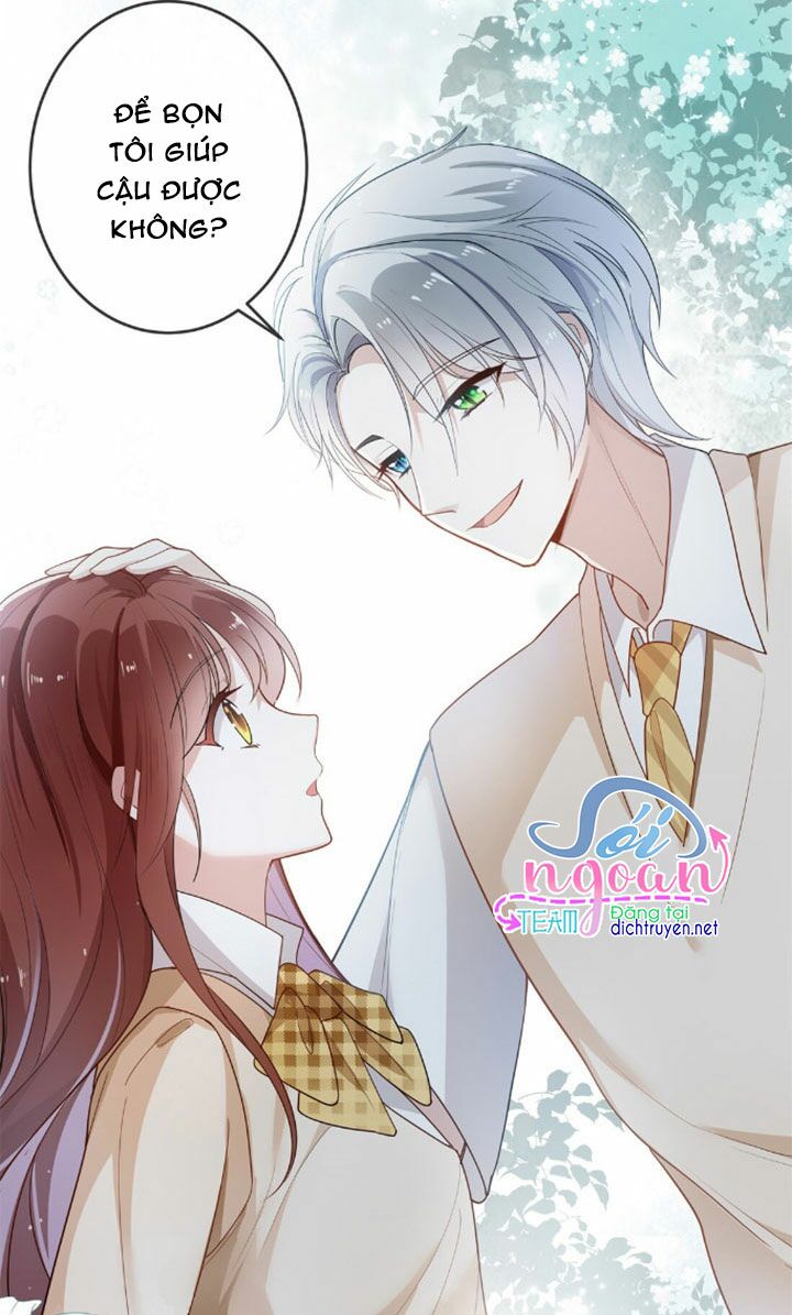 Em là bạc hà mèo của tôi: Chapter 6