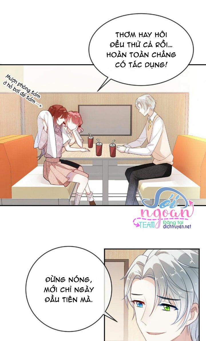 Em là bạc hà mèo của tôi: Chapter 6