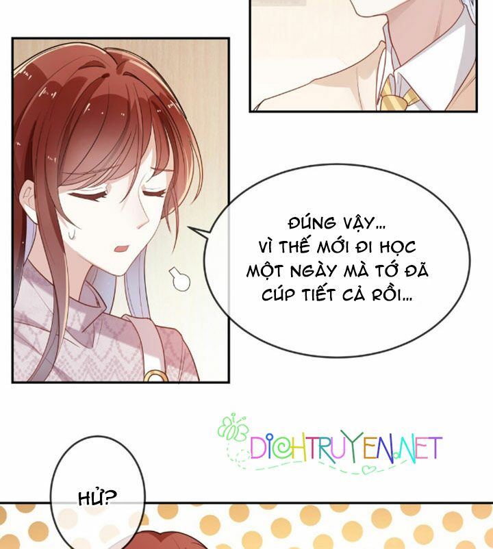Em là bạc hà mèo của tôi: Chapter 6