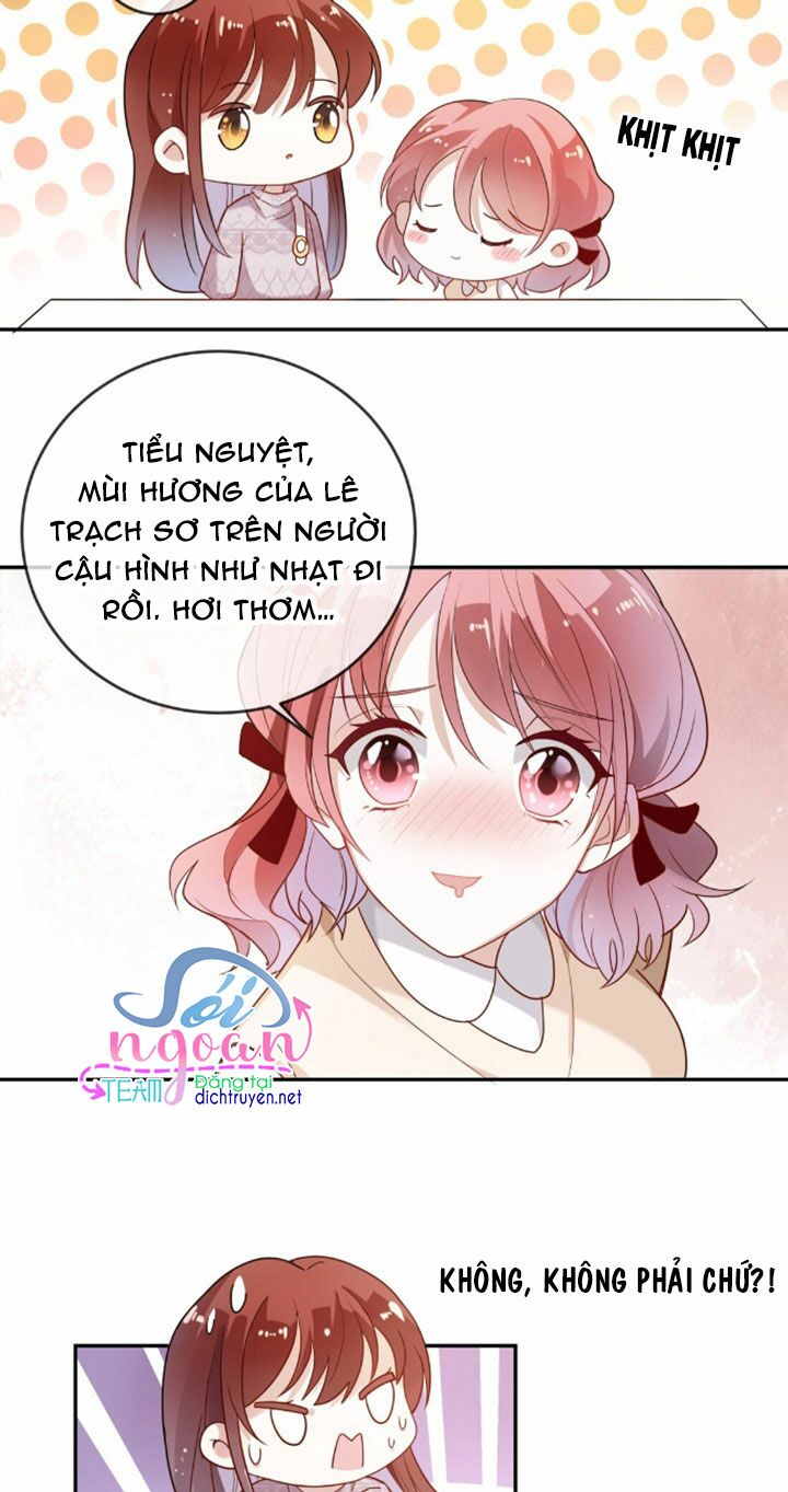 Em là bạc hà mèo của tôi: Chapter 6
