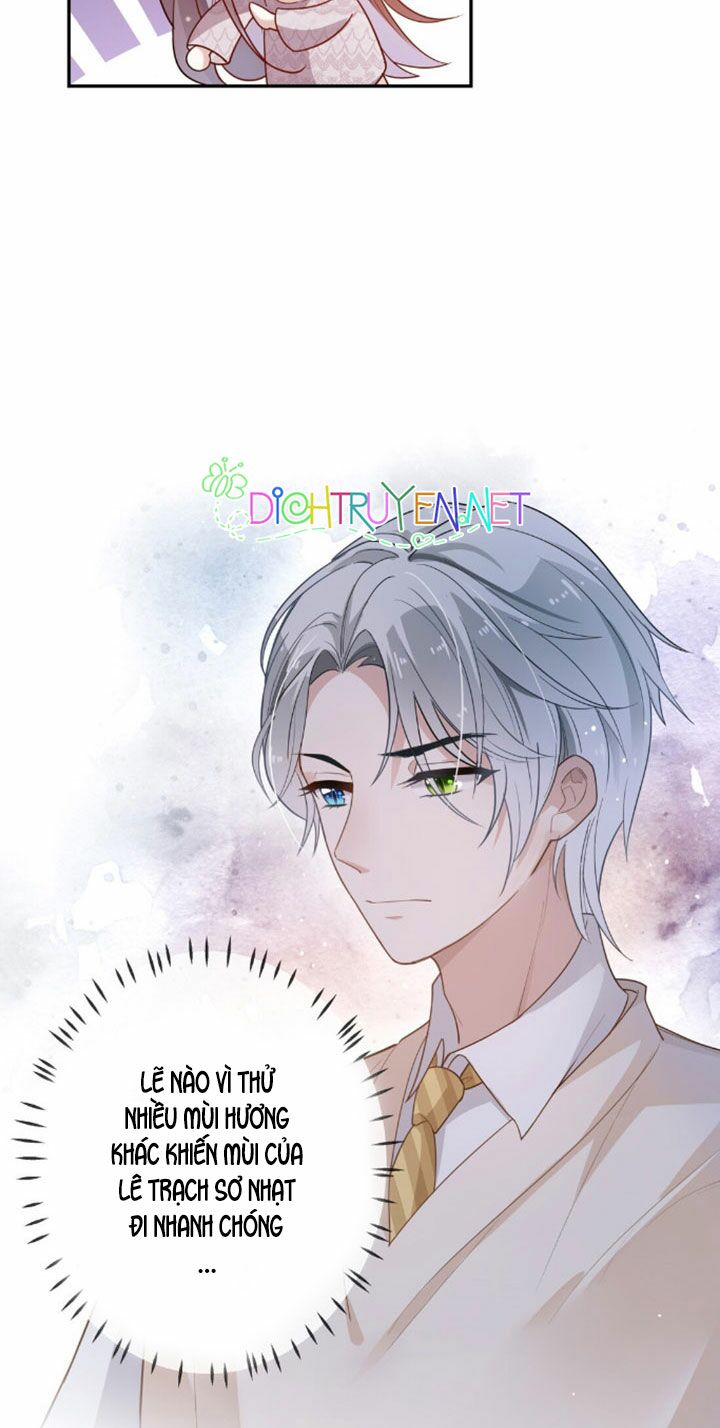 Em là bạc hà mèo của tôi: Chapter 6