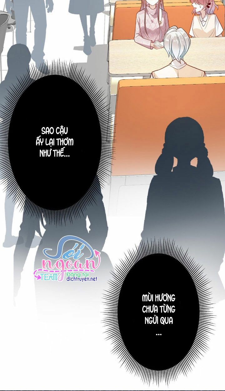 Em là bạc hà mèo của tôi: Chapter 6