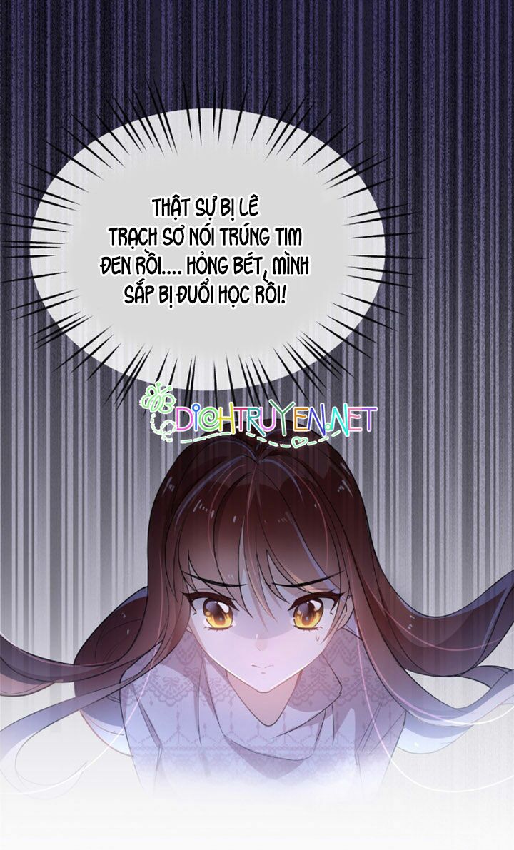 Em là bạc hà mèo của tôi: Chapter 6