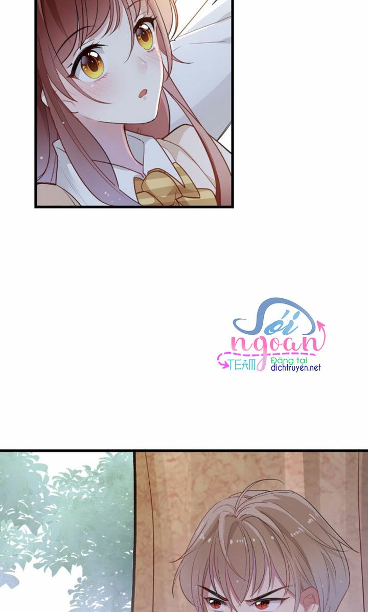 Em là bạc hà mèo của tôi: Chapter 6