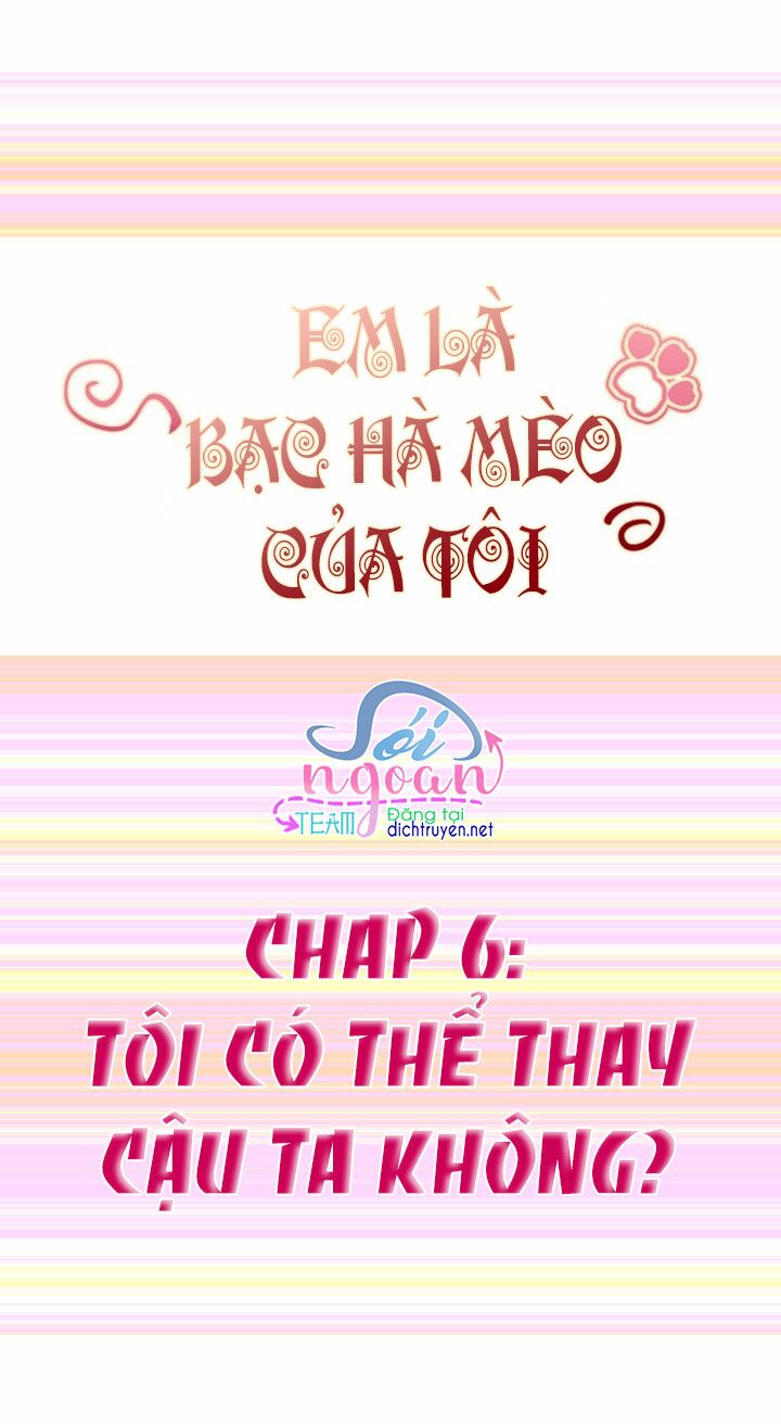 Em là bạc hà mèo của tôi: Chapter 6