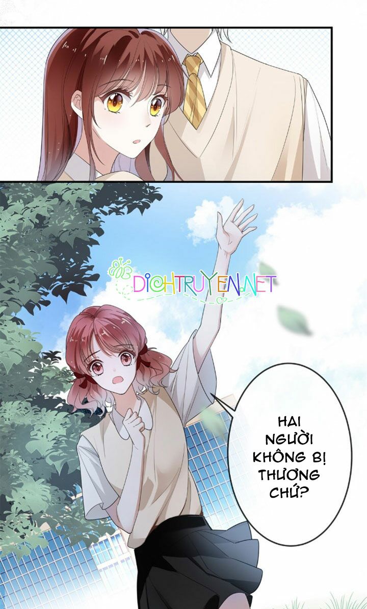 Em là bạc hà mèo của tôi: Chapter 6