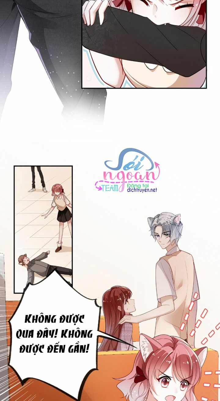Em là bạc hà mèo của tôi: Chapter 7