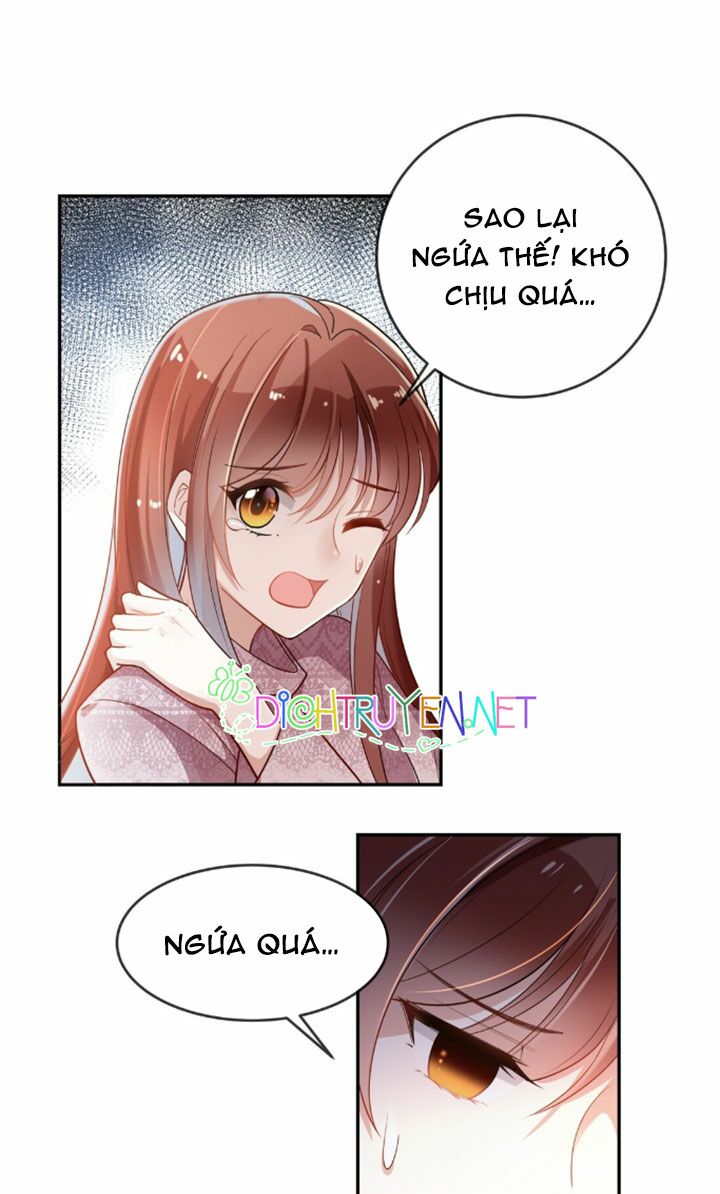 Em là bạc hà mèo của tôi: Chapter 7