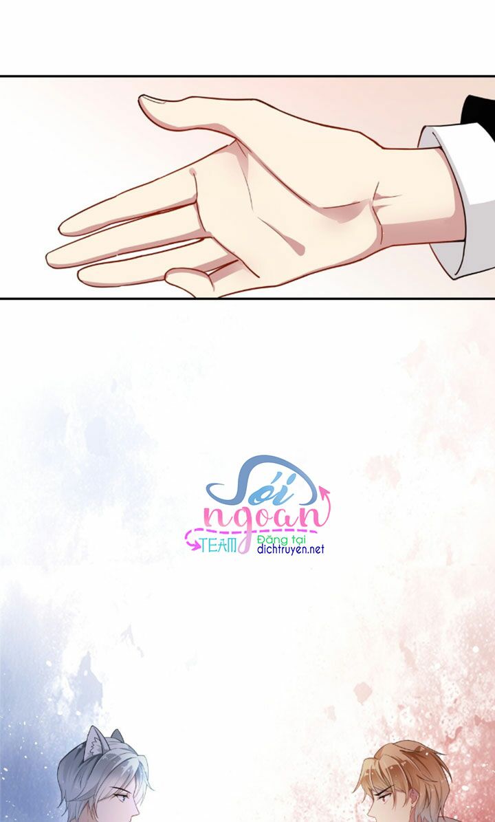 Em là bạc hà mèo của tôi: Chapter 7