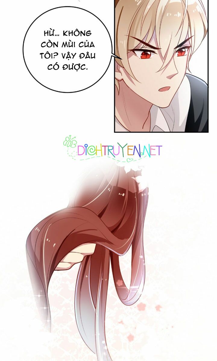 Em là bạc hà mèo của tôi: Chapter 7