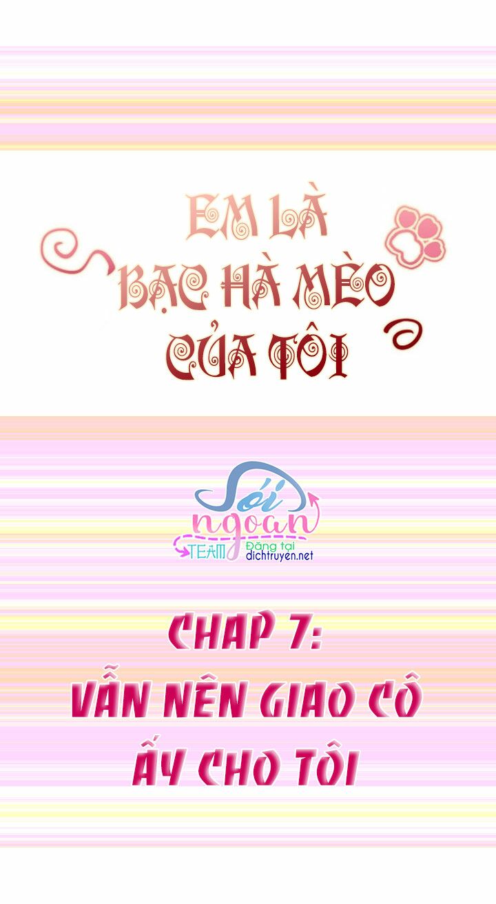 Em là bạc hà mèo của tôi: Chapter 7