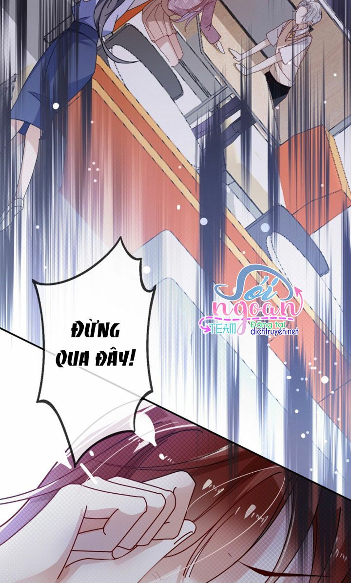 Em là bạc hà mèo của tôi: Chapter 7