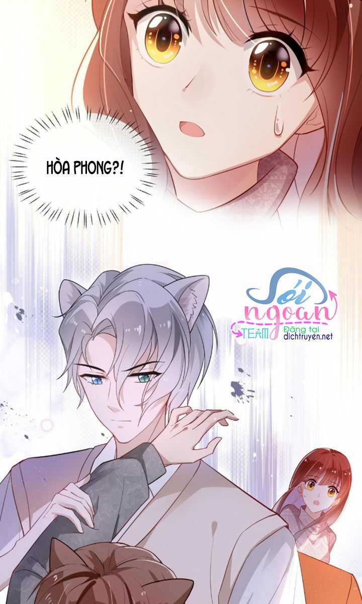 Em là bạc hà mèo của tôi: Chapter 7