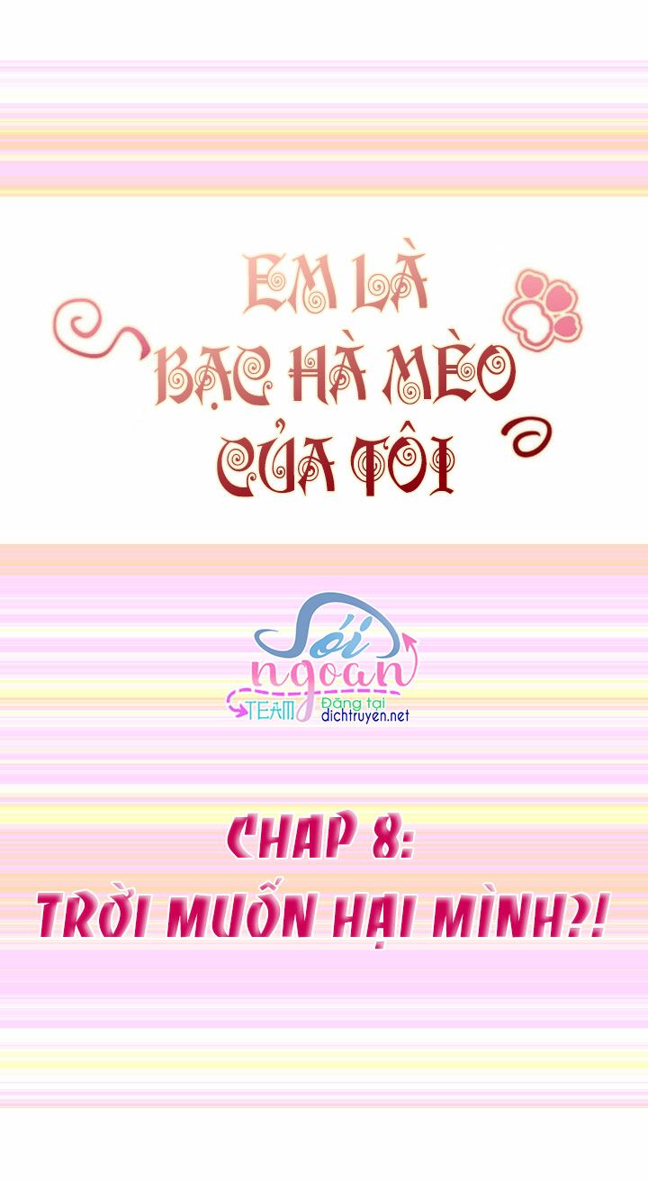 Em là bạc hà mèo của tôi: Chapter 8