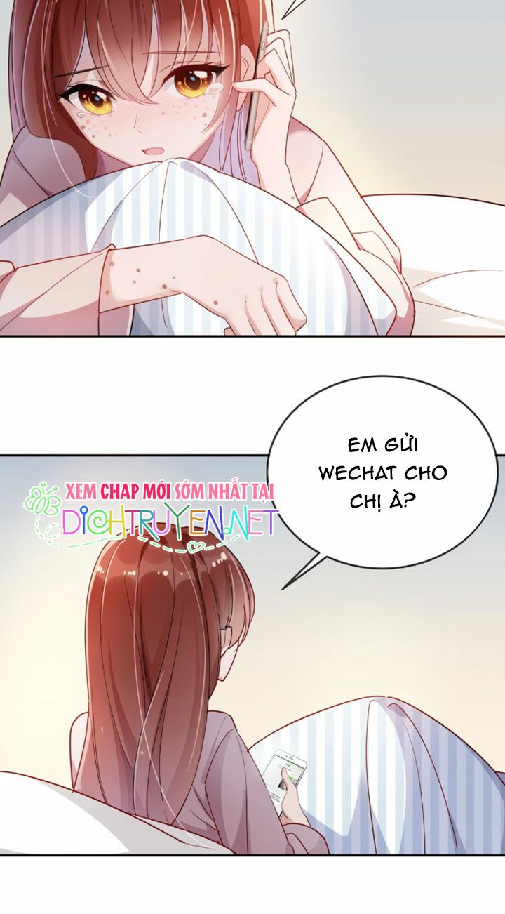 Em là bạc hà mèo của tôi: Chapter 8