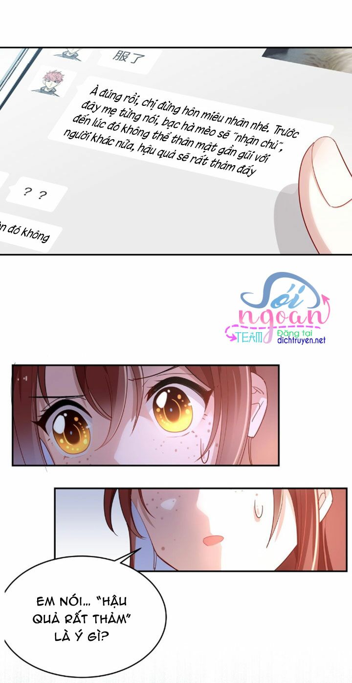 Em là bạc hà mèo của tôi: Chapter 8