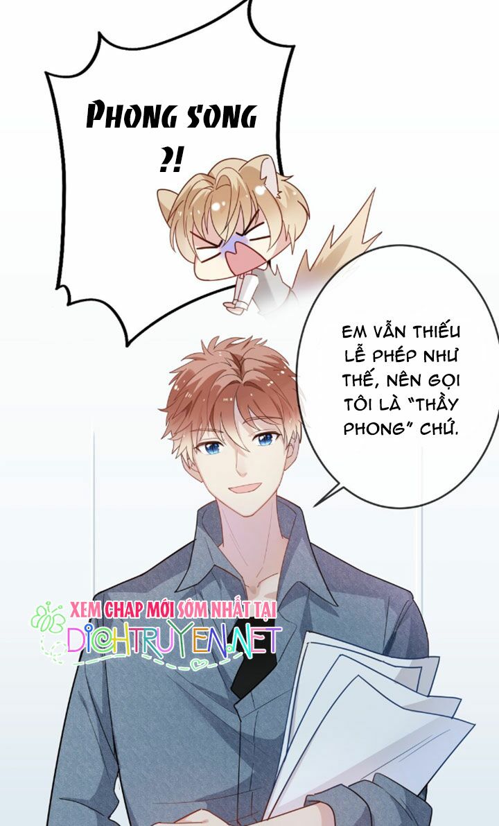 Em là bạc hà mèo của tôi: Chapter 8