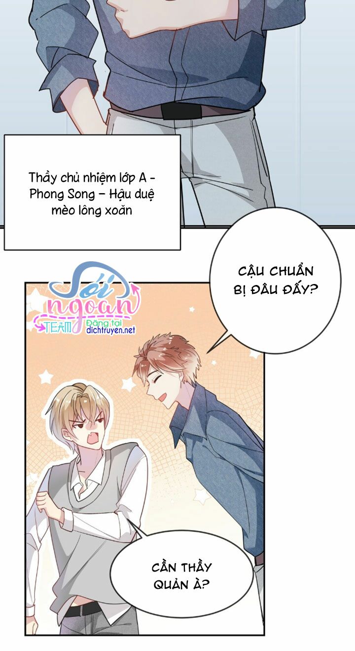 Em là bạc hà mèo của tôi: Chapter 8