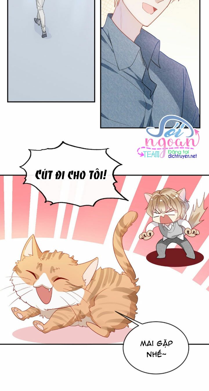 Em là bạc hà mèo của tôi: Chapter 8