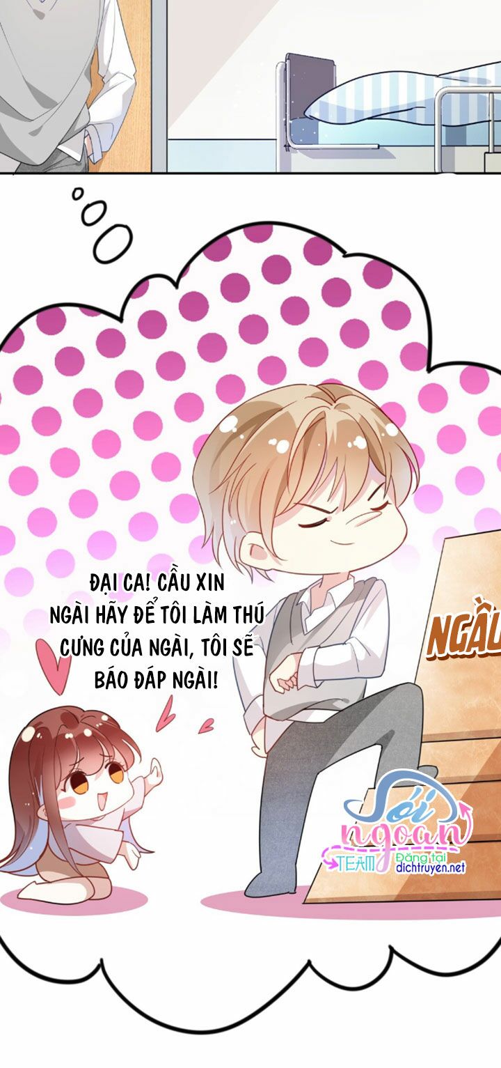 Em là bạc hà mèo của tôi: Chapter 8